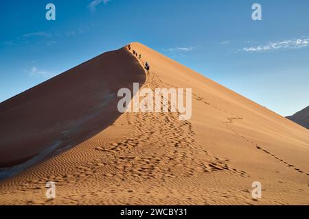 Gruppo di turisti che si arrampicano sulle dune di sabbia del deserto del Namib sotto il forte vento che soffia, Namibia, Africa Foto Stock