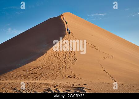 Gruppo di turisti che si arrampicano sulle dune di sabbia del deserto del Namib sotto il forte vento che soffia, Namibia, Africa Foto Stock