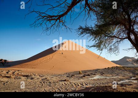 Gruppo di turisti che si arrampicano sulle dune di sabbia del deserto del Namib sotto il forte vento che soffia, Namibia, Africa Foto Stock