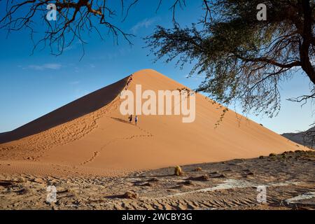 Gruppo di turisti che si arrampicano sulle dune di sabbia del deserto del Namib sotto il forte vento che soffia, Namibia, Africa Foto Stock