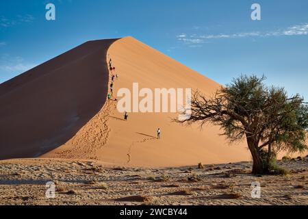 Gruppo di turisti che si arrampicano sulle dune di sabbia del deserto del Namib sotto il forte vento che soffia, Namibia, Africa Foto Stock