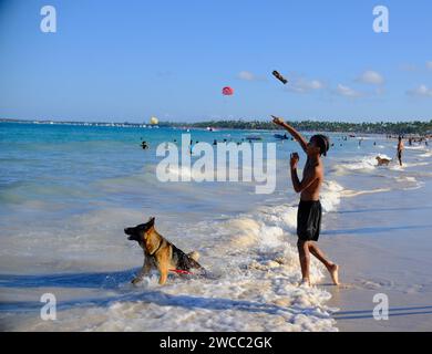 Cane giocare nell'oceano Foto Stock