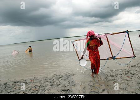 Donne che raccolgono semi di gamberi dal fiume salino del delta del Sundarban. La povertà prevale tra gli abitanti del villaggio che circa 60.000 famiglie vanno nelle acque alte del torace dei fiumi di Sundarbans regolarmente alla ricerca di semi di gamberi (Bagda), dove spesso cadono preda di morsi di squali e prendono malattie della pelle. La vita nei Sundarbans, il delta più grande del mondo, è incentrata sulla lotta per la sopravvivenza, sia che si tratti di cibo, rifugio o di fuga dai mangiatori di uomini. Gosaba, Sundarban, Bengala Occidentale, India. Foto Stock