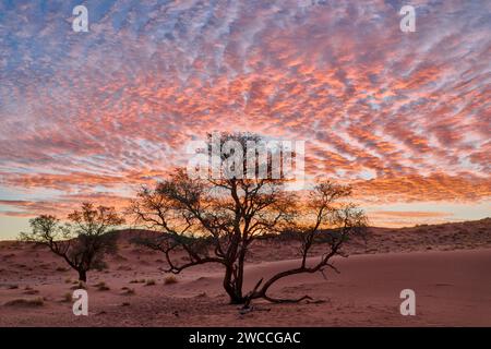 Nuvole suggestive mentre tramontano sulle dune del deserto del Namib, della Namibia e dell'Africa Foto Stock