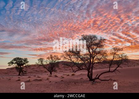 Nuvole suggestive mentre tramontano sulle dune del deserto del Namib, della Namibia e dell'Africa Foto Stock