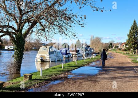 Il Tamigi a Laleham in condizioni di quasi alluvione, Staines Surrey Inghilterra Regno Unito Foto Stock