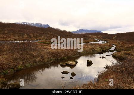 Il Brúará è un fiume alimentato da sorgenti nell'Islanda occidentale che scorre lungo i confini dei comuni di Biskupstungur e Grímsnes Foto Stock