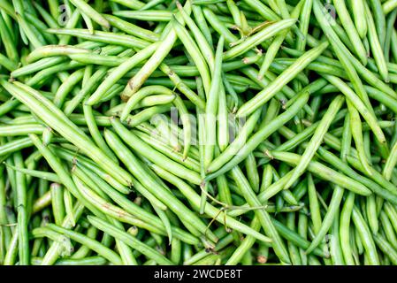 Un'immagine ravvicinata che mostra un mucchio di fagioli verdi vivaci disposti in modo ordinato su un tavolo Foto Stock
