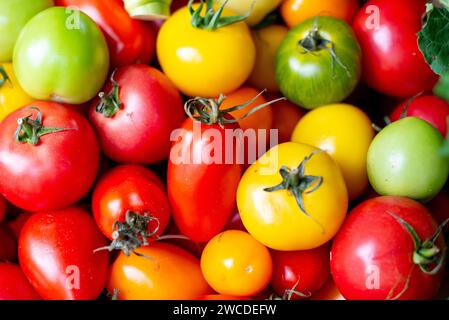 Un vivace assortimento di pomodori e peperoni, di vari colori, come rosso, giallo e verde, è splendidamente disposto in una pila colorata Foto Stock