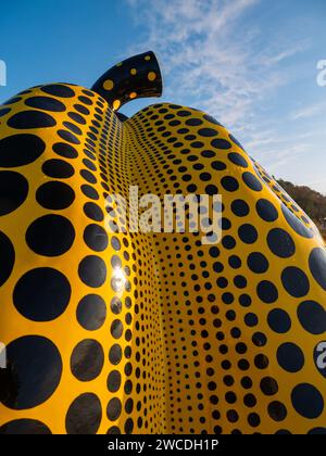 Primo piano della zucca gialla dell'artista Yayoi Kusama all'esterno del museo d'arte contemporanea Benesse House lungo il Mare interno di Seto nell'isola di Naoshima, Giappone. Foto Stock