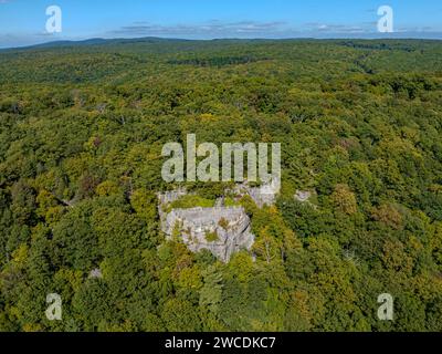 Una vista dall'alto della Coopers Rock State Forest si affaccia sulla pietra circondata dal fogliame autunnale della Virginia Occidentale Foto Stock