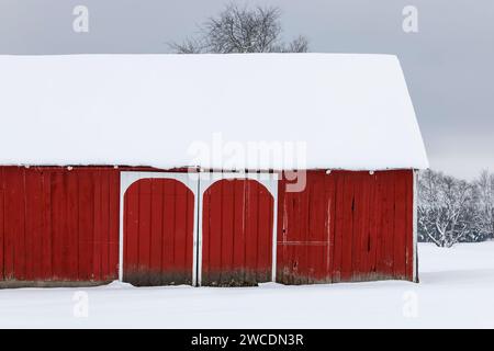 Fienile rosso con ingresso bianco ad arco dopo una tempesta di neve nella contea di Mecosta, Michigan, Stati Uniti [nessun rilascio di proprietà; solo licenze editoriali] Foto Stock