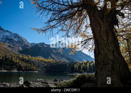 Herbstlicher Weitblick im Val da Camp mit seinen faszinierenden Bergseen Foto Stock