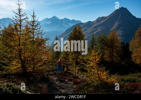 Herbstlicher Weitblick im Val da Camp mit seinen faszinierenden Bergseen Foto Stock