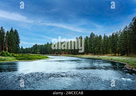 Spokane River, Spokane County, Washington Foto Stock
