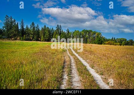 James T. Slavin Conservation area, Spokane County, Washington Foto Stock