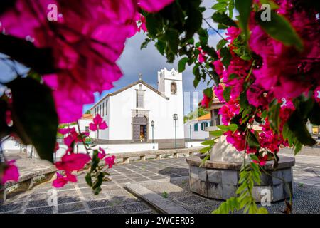 Chiesa Parrocchiale di Santana, Igreja Matriz de Santana incorniciata da bougainvillea spectabilis fioritura di vite ornamentale, Santana, Isola di Madeira, Portogallo Foto Stock