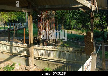 Una fossa aperta dove sono state uccise le persone, Choung EK genocidal Center, Phnom Penh, Cambogia. Foto Stock