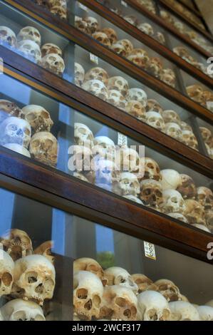 Teschi umani in mostra al Choung EK genocidal Center, Phnom Penh, Cambogia. Foto Stock