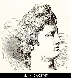 Vecchia riproduzione incisa della testa dell'Apollo belvedere. Di autore sconosciuto, pubblicato su Brehm, Les Mammifers, Baillière et fils, Parigi, 1878 Foto Stock