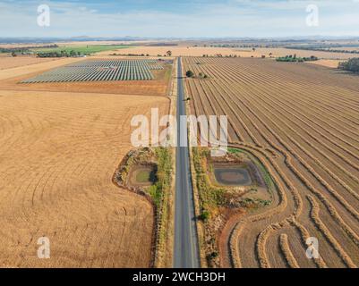 Vista aerea su una strada di campagna con colture e una diga su ciascun lato a Moolort, nel Victoria centrale, Australia. Foto Stock