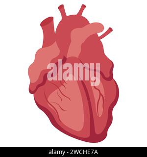 Illustrazione piatta del cuore umano Foto Stock