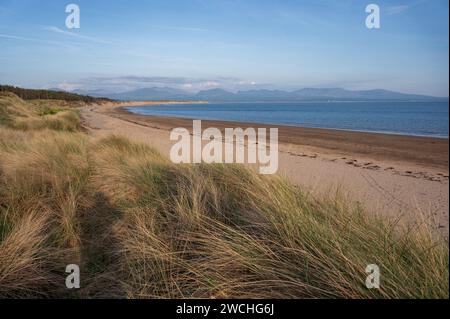 Una giornata luminosa sulla costa a Ynys Llanddwyn, Angelsey, Galles del Nord. Conosciuta anche come Newborough Beach Foto Stock