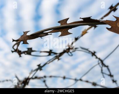 Primo piano estremo del filo spinato arrugginito contro un cielo nuvoloso e luminoso Foto Stock