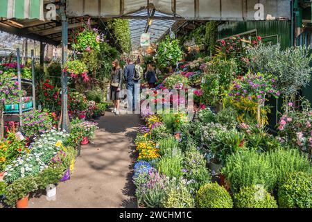 Parigi, Francia - 6 aprile 2019: Molti negozi e turisti al mercato dei fiori aux Fleurs Reine Elizabeth II Foto Stock