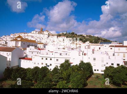 Panoramica. Alcala de los Gazules, provincia di Cadice, Andalusia, Spagna. Foto Stock