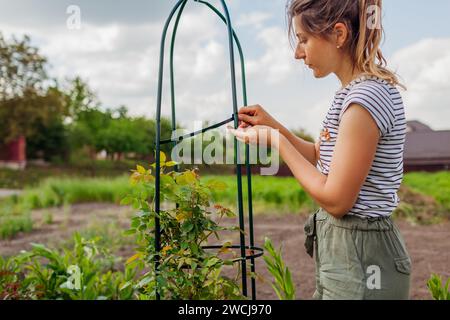 Giovane donna giardiniere assembla obelisco di metallo per l'arrampicata sostegno rosa nel giardino di primavera. Installazione di columnar trellis. Fissaggio della parte laterale a vite Foto Stock