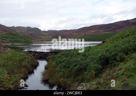 Piccolo Lochan sull'Allt an Readhean vicino alla pista per l'Hydro/Wind Farm al Corbett 'Carn A' Chuilinn' a Glen Doe, Scottish Highlands, Regno Unito. Foto Stock