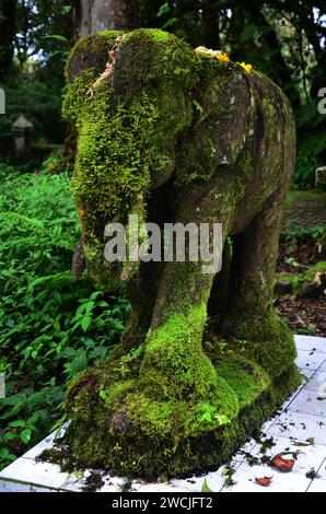 Muschio sulla statua di elefante scultorea nell'antica foresta pluviale e nella giungla tropicale per i viaggiatori thailandesi che viaggiano visitano il Doi Inthanon National Pa Foto Stock