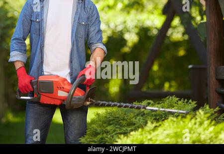 Irriconoscibile, il giardiniere maschio che rifinisce le siepi di conifere con moderni troncarami elettrici all'aperto. Vista del prodotto dell'uomo con i guanti che potano le boccole con attrezzature professionali in giardino. Concetto di giardinaggio. Foto Stock