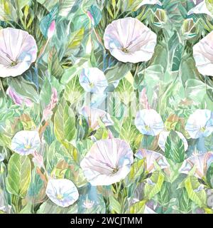 acquerello disegno a mano ornamento senza cuciture con fiori selvatici in erba Foto Stock