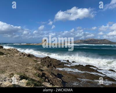 Vista dell'isola prigione dell'Asinara in Sardegna Foto Stock