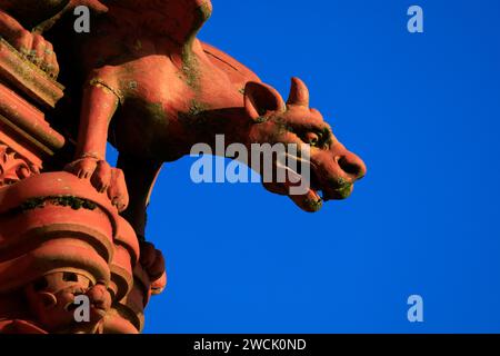 Dettaglio del Doccione dell Edificio Pierhead, Baia di Cardiff, Cardiff, Galles del Sud, Regno Unito. Foto Stock
