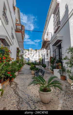 Case imbiancate su una strada tradizionale decorata con vasi di fiori nel grazioso villaggio di Jimena de la Frontera, nella provincia di Cadice, in Spagna. Foto Stock