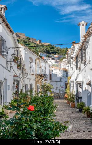 Case imbiancate su una strada tradizionale decorata con vasi di fiori nel grazioso villaggio di Jimena de la Frontera, nella provincia di Cadice, in Spagna. Foto Stock