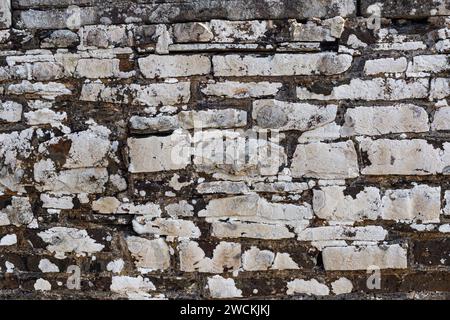 Dettaglio della costruzione in pietra su Beam Aqueduct Wall sopra il fiume Torridge con incrostazione di Lichen. Foto Stock
