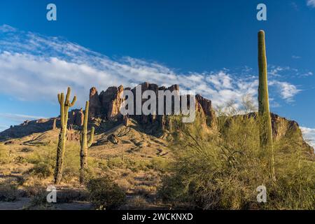 Palo verde, cactus saguaro e Superstition Mountain. Lost Dutchman State Park, Apache Junction, Arizona. Foto Stock