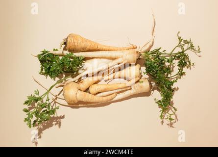 Vista dall'alto di una pila di radici di pastinaca con foglie verdi su una superficie chiara. Concetto di alimentazione sana Foto Stock