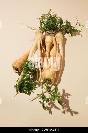 Vista dall'alto di una pila di radici di pastinaca con foglie verdi su una superficie chiara. Concetto di alimentazione sana Foto Stock