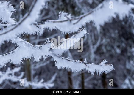 Schnee und Eis im Taunus die Landschaft rund um den großen Feldberg im Taunus ist winterlich bei Frost, Schnee und Raureif. für den morgigen Tag warnt der DWD vor Unwetter durch Eisregen mit Glatteis und starken Schneefall in Teilen von Hessen und Deutschland., Schmitten Hessen Deutschland *** neve e ghiaccio nel Taunus il paesaggio intorno al Großer Feldberg nel Taunus è ventoso con gelo, neve e hoarfrost per domani, il DWD avverte di condizioni meteorologiche avverse dovute a pioggia ghiacciata con ghiaccio nero e forti nevicate in alcune parti dell'Assia e della Germania, Schmitten Assia Germania Foto Stock