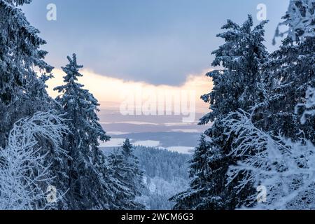 Schnee und Eis im Taunus die Landschaft rund um den großen Feldberg im Taunus ist winterlich bei Frost, Schnee und Raureif. für den morgigen Tag warnt der DWD vor Unwetter durch Eisregen mit Glatteis und starken Schneefall in Teilen von Hessen und Deutschland., Schmitten Hessen Deutschland *** neve e ghiaccio nel Taunus il paesaggio intorno al Großer Feldberg nel Taunus è ventoso con gelo, neve e hoarfrost per domani, il DWD avverte di condizioni meteorologiche avverse dovute a pioggia ghiacciata con ghiaccio nero e forti nevicate in alcune parti dell'Assia e della Germania, Schmitten Assia Germania Foto Stock