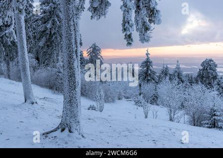 Schnee und Eis im Taunus die Landschaft rund um den großen Feldberg im Taunus ist winterlich bei Frost, Schnee und Raureif. für den morgigen Tag warnt der DWD vor Unwetter durch Eisregen mit Glatteis und starken Schneefall in Teilen von Hessen und Deutschland., Schmitten Hessen Deutschland *** neve e ghiaccio nel Taunus il paesaggio intorno al Großer Feldberg nel Taunus è ventoso con gelo, neve e hoarfrost per domani, il DWD avverte di condizioni meteorologiche avverse dovute a pioggia ghiacciata con ghiaccio nero e forti nevicate in alcune parti dell'Assia e della Germania, Schmitten Assia Germania Foto Stock