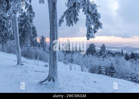 Schnee und Eis im Taunus die Landschaft rund um den großen Feldberg im Taunus ist winterlich bei Frost, Schnee und Raureif. für den morgigen Tag warnt der DWD vor Unwetter durch Eisregen mit Glatteis und starken Schneefall in Teilen von Hessen und Deutschland., Schmitten Hessen Deutschland *** neve e ghiaccio nel Taunus il paesaggio intorno al Großer Feldberg nel Taunus è ventoso con gelo, neve e hoarfrost per domani, il DWD avverte di condizioni meteorologiche avverse dovute a pioggia ghiacciata con ghiaccio nero e forti nevicate in alcune parti dell'Assia e della Germania, Schmitten Assia Germania Foto Stock