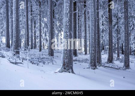 Schnee und Eis im Taunus die Landschaft rund um den großen Feldberg im Taunus ist winterlich bei Frost, Schnee und Raureif. für den morgigen Tag warnt der DWD vor Unwetter durch Eisregen mit Glatteis und starken Schneefall in Teilen von Hessen und Deutschland., Schmitten Hessen Deutschland *** neve e ghiaccio nel Taunus il paesaggio intorno al Großer Feldberg nel Taunus è ventoso con gelo, neve e hoarfrost per domani, il DWD avverte di condizioni meteorologiche avverse dovute a pioggia ghiacciata con ghiaccio nero e forti nevicate in alcune parti dell'Assia e della Germania, Schmitten Assia Germania Foto Stock