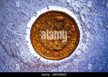 Una moneta da 1 £ congelata nel ghiaccio Foto Stock