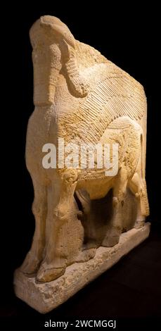 Lamassu assiro (toro alato con testa umana), palazzo di Dur-Sharrukin, Khorsabad, Iraq, ora all'Iraq Museum, Baghdad, Iraq Foto Stock